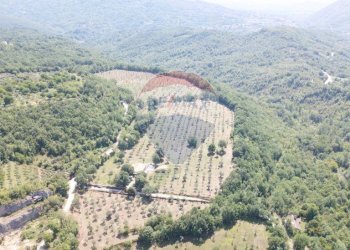 Vista delle montagne - Rustic Rocchetta a Volturno - photo 131
