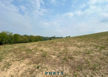 Foto 1 - Terreno agricolo Rocca Cigliè - foto 1