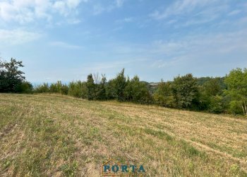 Foto 2 - Terreno agricolo Rocca Cigliè - foto 2