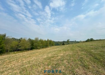 Foto 4 - Terreno agricolo Rocca Cigliè - foto 4