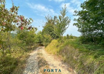 Foto 5 - Terreno agricolo Rocca Cigliè - foto 5