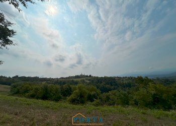 Foto 6 - Terreno agricolo Rocca Cigliè - foto 6