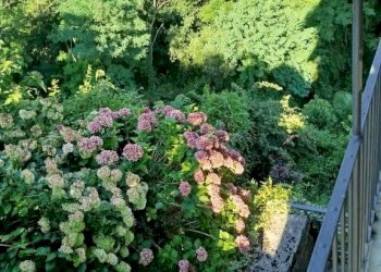 Terreno - Rustic via Vendolo, Castione Andevenno - photo 6