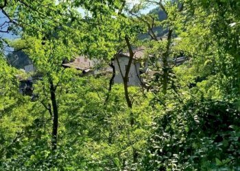 Terreno - Rustic via Vendolo, Castione Andevenno - photo 8