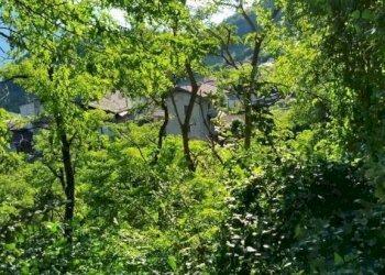 Terreno - Rustic via Vendolo, Castione Andevenno - photo 9