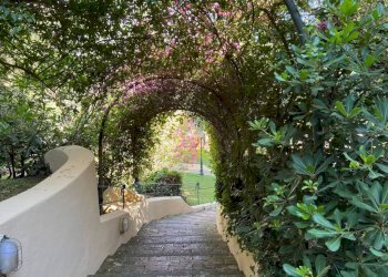 Giardino - Trilocale via Caravaggio, 15, Monte Argentario - foto 22