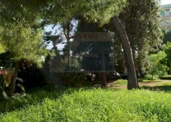 giardino - Appartamento Viale Scala Greca, Siracusa - foto 26