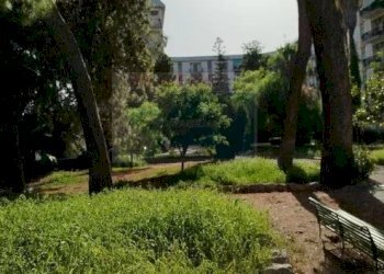 giardino - Appartamento Viale Scala Greca, Siracusa - foto 31