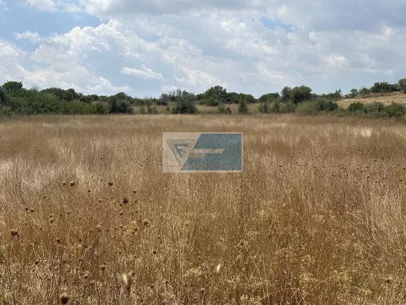Agricultural land Tenuta San Marco, Noto - photo 3