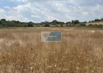 Terreno agricolo Tenuta San Marco, Noto - foto 3