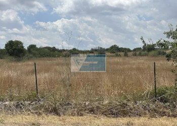 Terreno agricolo Tenuta San Marco, Noto - foto 5