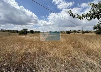 Terreno agricolo Tenuta San Marco, Noto - foto 6