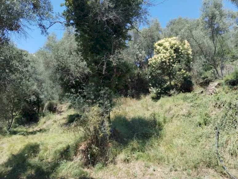 Building land Perinaldo - photo 1