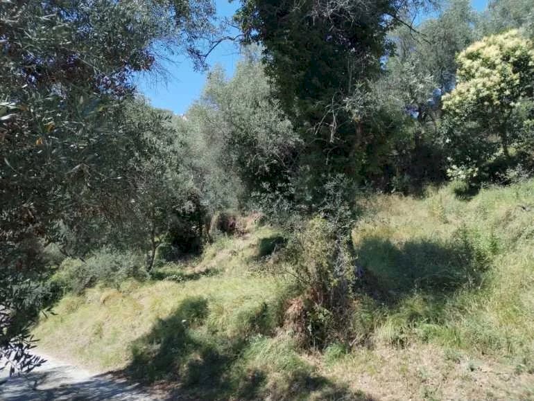 Building land Perinaldo - photo 2