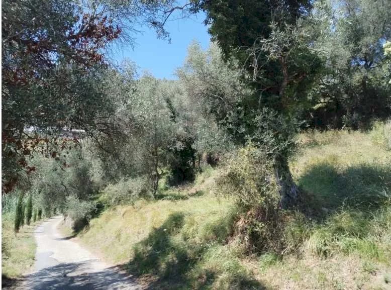 Building land Perinaldo - photo 3