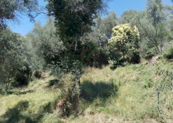 Terreno edificabile Perinaldo - foto 1