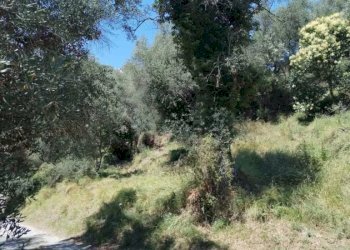 Terreno edificabile Perinaldo - foto 2