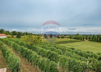 Casale Via Terzago, 7-9 
 Calvagese della Riviera, Calvagese della Riviera - foto 19