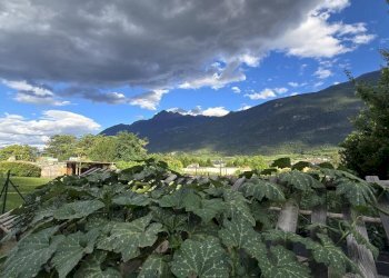 Casa indipendente Sarre - foto 16