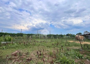 Independent house Via Canale, Molinella - photo 37