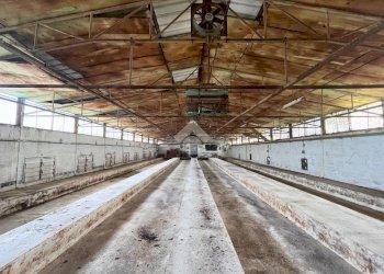 Independent house Via Canale, Molinella - photo 39