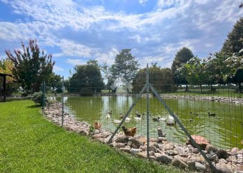 Independent house Via Canale, Molinella - photo 43