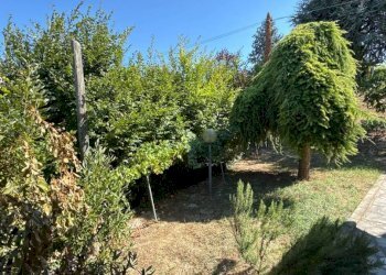 Villa Barbaresco - foto 25