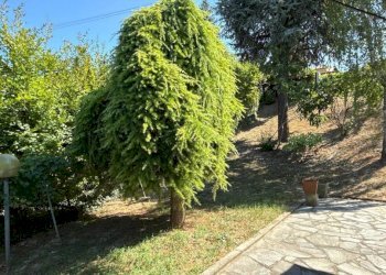 Villa Barbaresco - foto 26