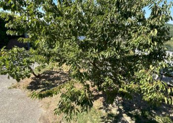 Villa Barbaresco - foto 45