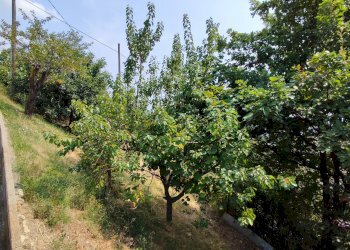 Villa Strada Sant'Orso, 9, Piasco - foto 11