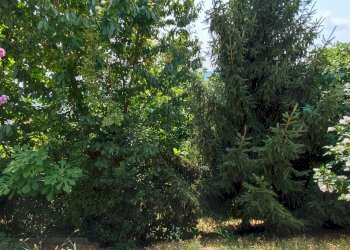 Villa Strada Sant'Orso, 9, Piasco - foto 17