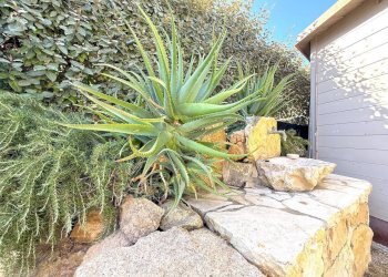 Foto 12 - Villa Via mare
 
sn, Badesi - foto 12