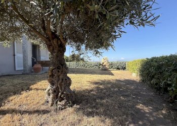 Foto 19 - Villa Via mare
 
sn, Badesi - foto 19