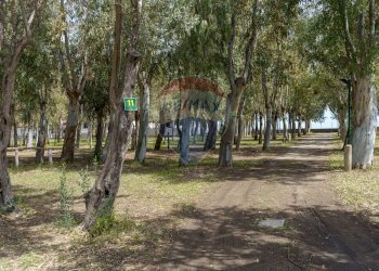 Giardino - Locale Commerciale Via del Sole, 17 Marinello
 
17, Patti - foto 17