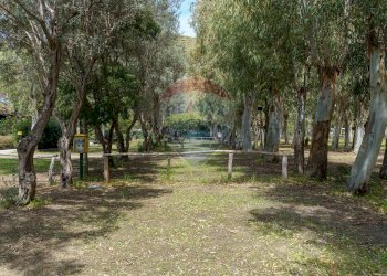 Giardino - Locale Commerciale Via del Sole, 17 Marinello
 
17, Patti - foto 18