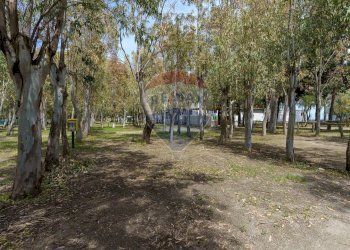 Giardino - Locale Commerciale Via del Sole, 17 Marinello
 
17, Patti - foto 19