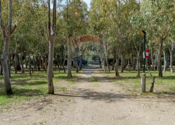 Giardino - Locale Commerciale Via del Sole, 17 Marinello
 
17, Patti - foto 20