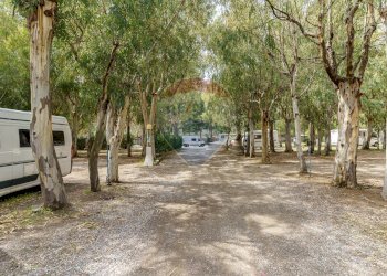 Giardino - Locale Commerciale Via del Sole, 17 Marinello
 
17, Patti - foto 22