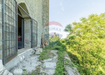 Giardino - Bilocale Ischia di Castro - foto 28