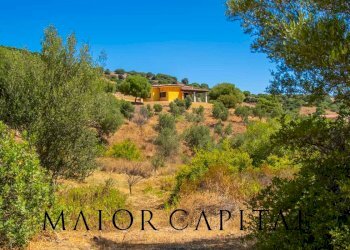 Foto 23 - Independent house Via degli ulivi, Siniscola - photo 23