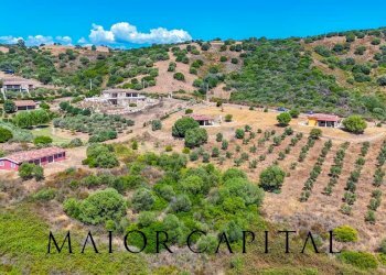 Foto 55 - Independent house Via degli ulivi, Siniscola - photo 55