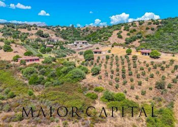 Foto 56 - Independent house Via degli ulivi, Siniscola - photo 56