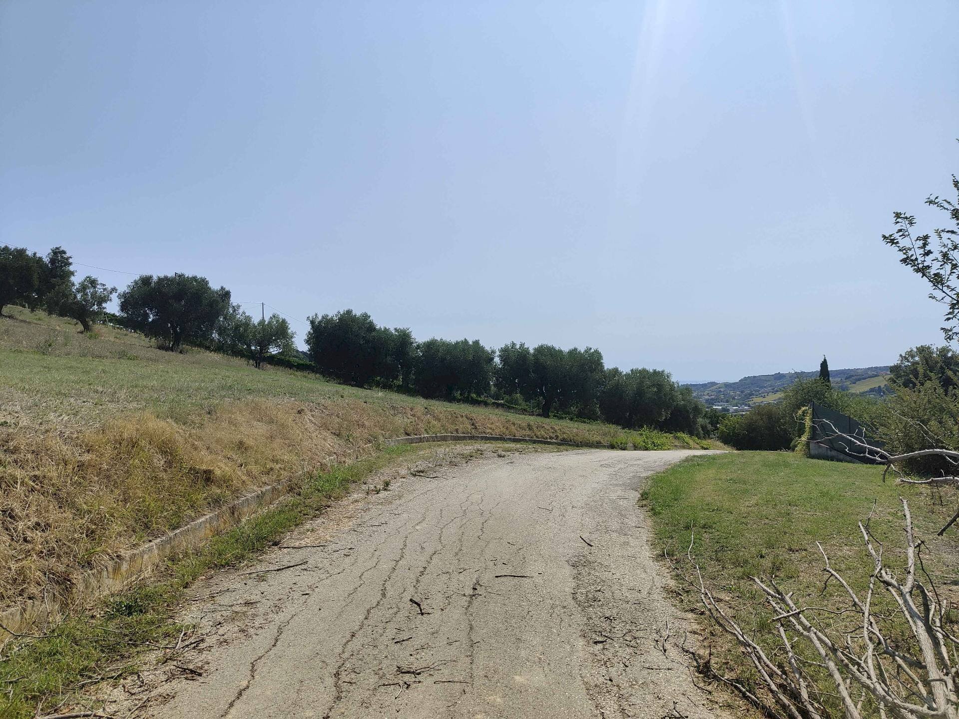 Foto 3 - Terreno agricolo Contrada Magazzini, Acquaviva Picena - foto 3