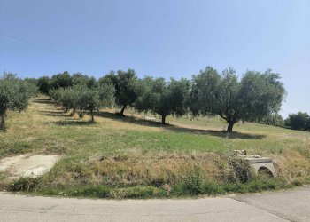 Foto 1 - Agricultural land Contrada Magazzini, Acquaviva Picena - photo 1