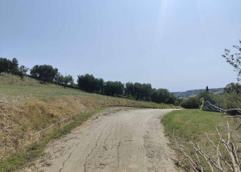 Foto 3 - Agricultural land Contrada Magazzini, Acquaviva Picena - photo 3