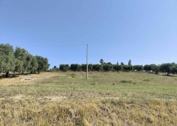 Foto 4 - Agricultural land Contrada Magazzini, Acquaviva Picena - photo 4