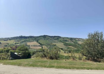 Foto 5 - Agricultural land Contrada Magazzini, Acquaviva Picena - photo 5