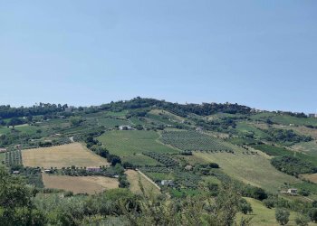 Foto 6 - Agricultural land Contrada Magazzini, Acquaviva Picena - photo 6