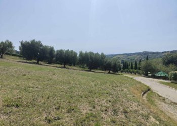 Foto 7 - Agricultural land Contrada Magazzini, Acquaviva Picena - photo 7