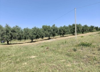 Foto 8 - Agricultural land Contrada Magazzini, Acquaviva Picena - photo 8